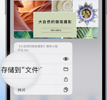 陵川apple维修中心分享iPhone文件应用中存储和找到下载文件