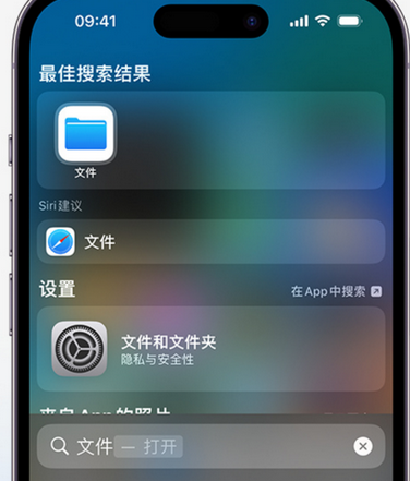 陵川apple维修中心分享iPhone文件应用中存储和找到下载文件