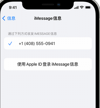 陵川apple维修iPhone上无法正常发送iMessage信息 