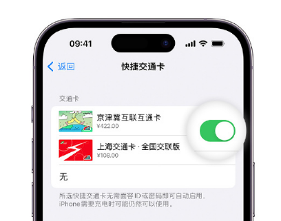 陵川apple维修点分享iPhone上更换Apple Pay快捷交通卡手绘卡面 