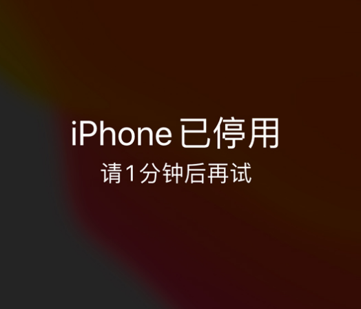 陵川苹果手机维修分享:iPhone 显示“不可用”或“已停用”怎么办？还能保留数据吗？ 