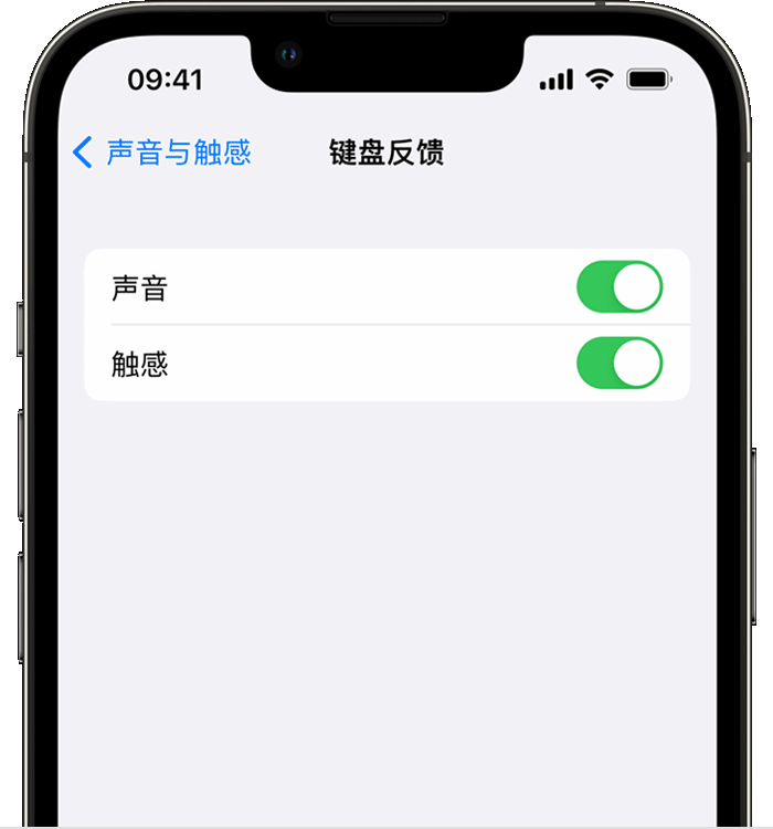 陵川苹果14维修店分享如何在 iPhone 14 机型中使用触感键盘 