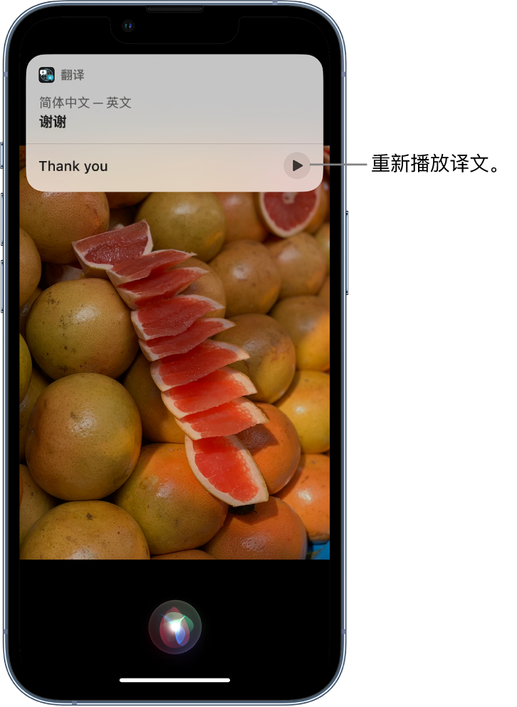 陵川苹果14维修分享 iPhone 14 机型中使用 Siri：了解 Siri 能帮你做什么 